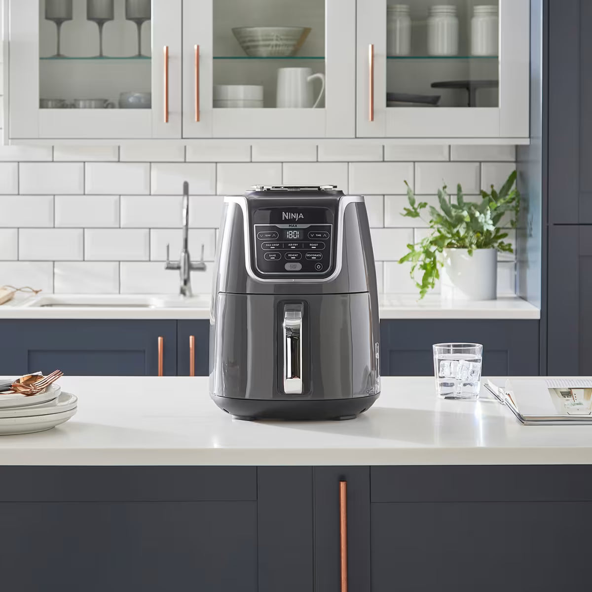 AF160EU_BE_03 - Oryxi